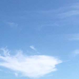 Meet your Posher, Sophia